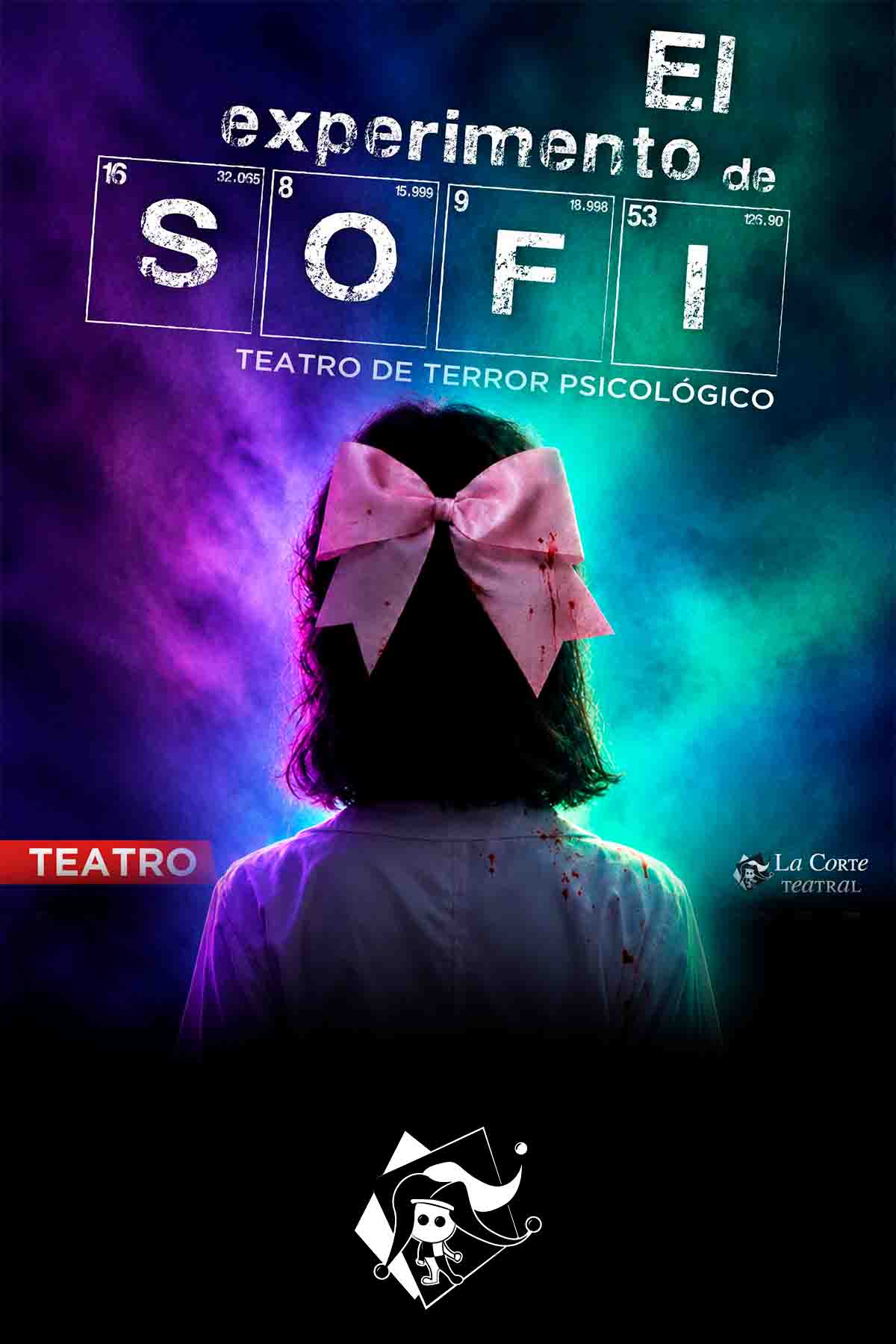 Cartel de la obra El experimento de Sofi